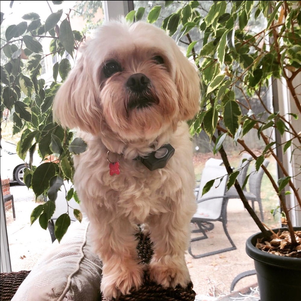 Meet your Posher, Rori